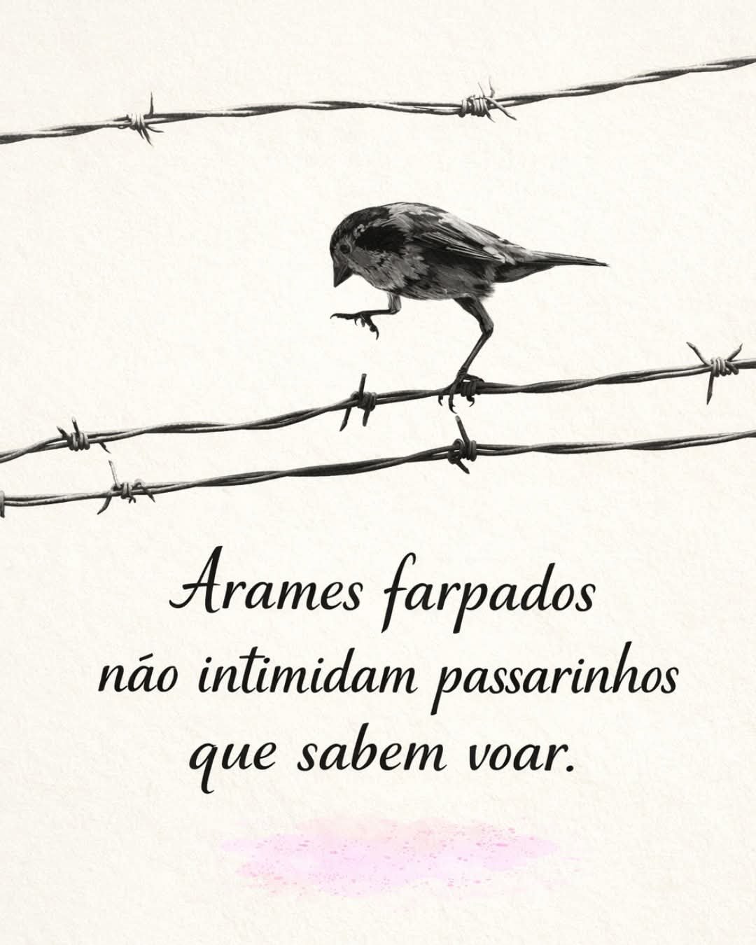Lições de um pássaro no arame farpado